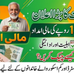 Prime Minister 13000 Check Online