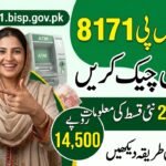 BISP 8171 Online Check Balance
