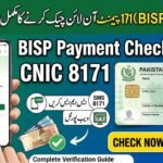 BISP Payment Check Online CNIC 8171