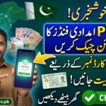 Pmrrp NITB Gov Pk Online Check